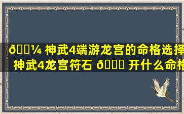 🐼 神武4端游龙宫的命格选择（神武4龙宫符石 🍁 开什么命格）